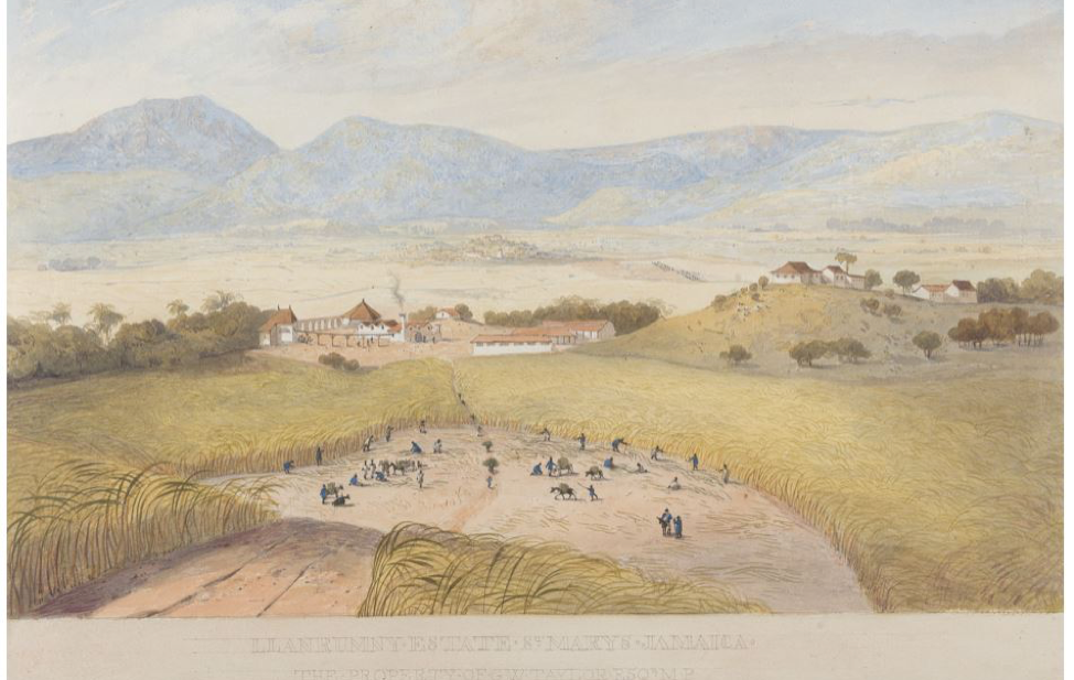 Painting of Jamaica Plantation